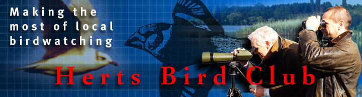 Herts Bird Club
